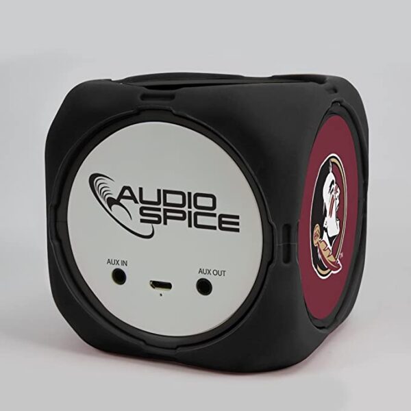 Portable black speaker with the FSU Seminoles logo, featuring "audiospice" branding and aux-in and aux-out ports.