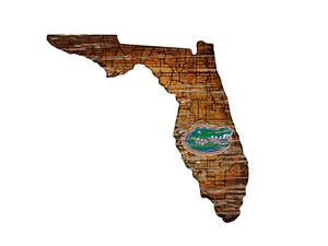 Map of University of Florida shaped like the state with a textured, wooden look, featuring the state seal in the center.